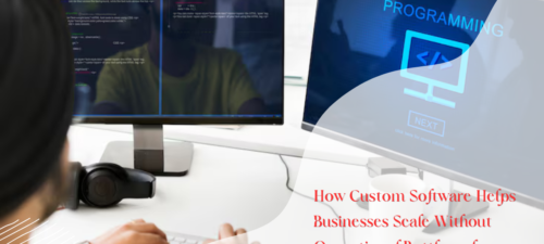custom software development