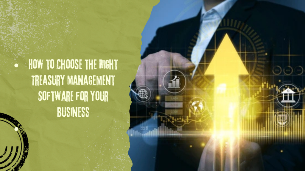 Treasury Management Software
